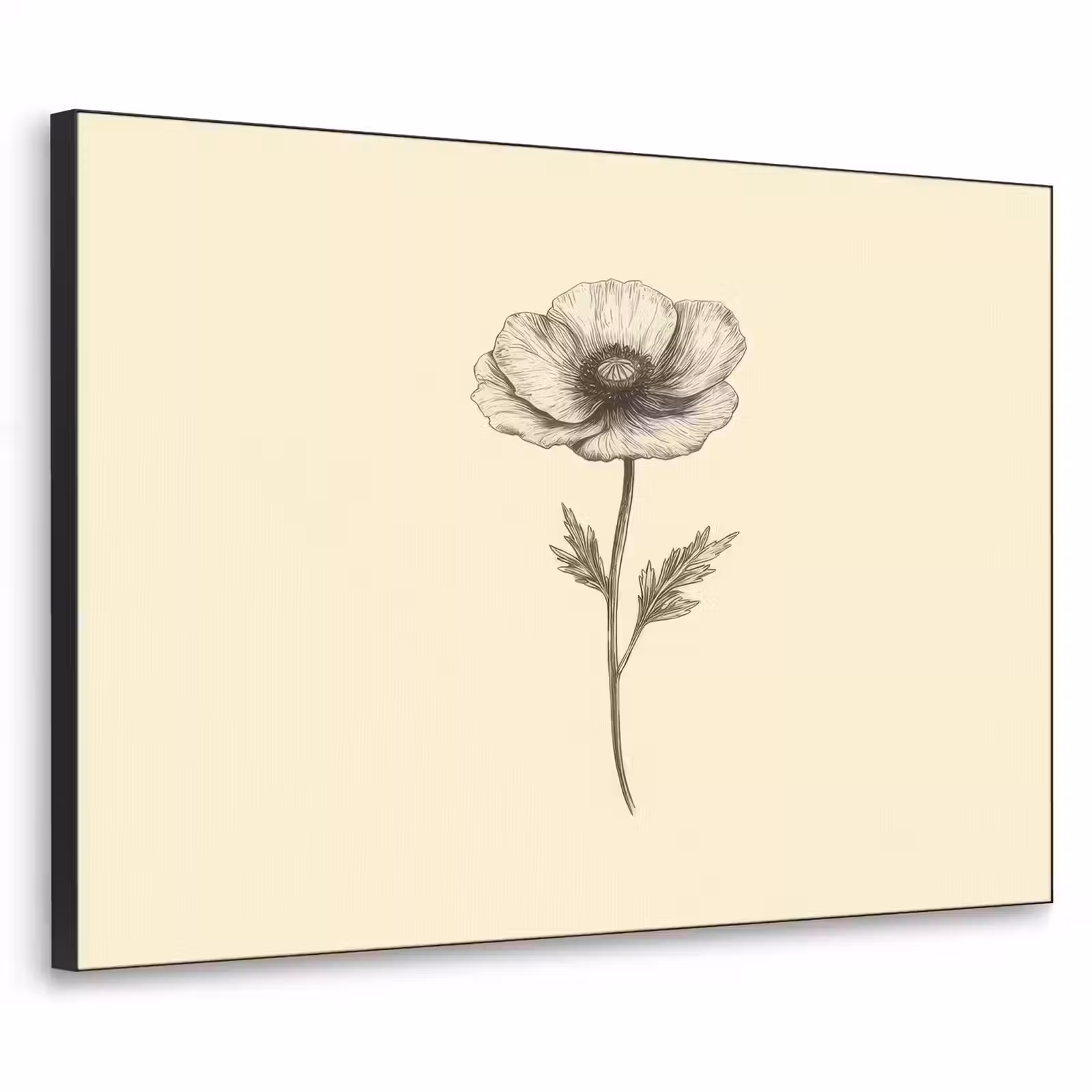 Art Frame - Klaproos - Illustratie - Zwart — 1