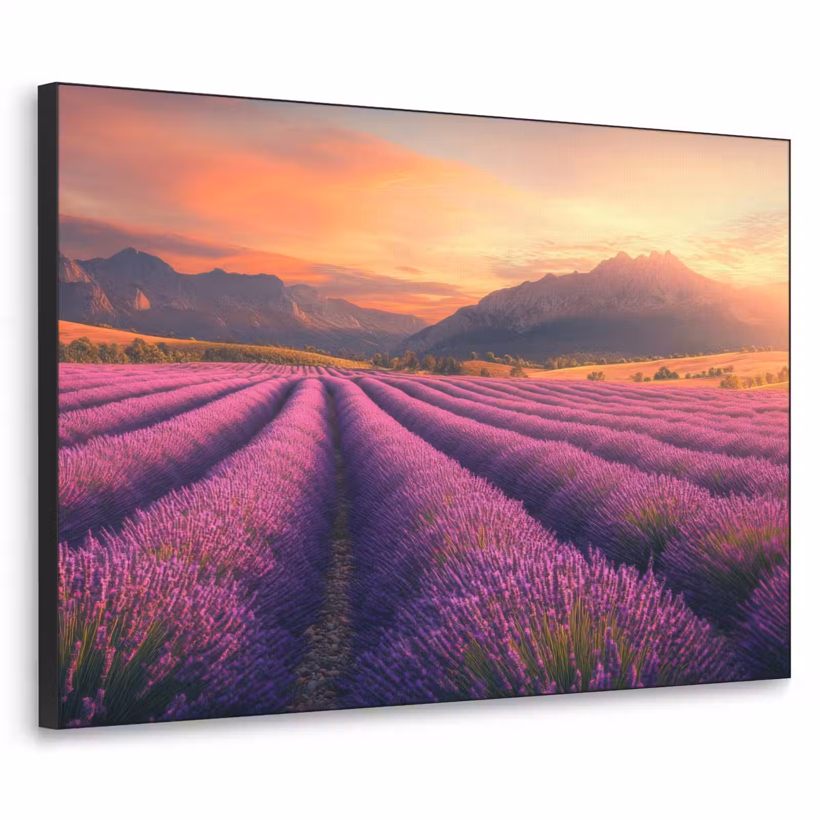 Art Frame - Lavendelveld - Zonsondergang - Paars — 1