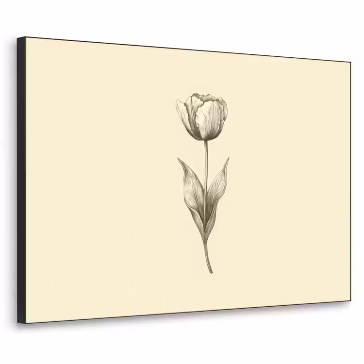 Art Frame - Illustratie - Tulp - Zwart — 1