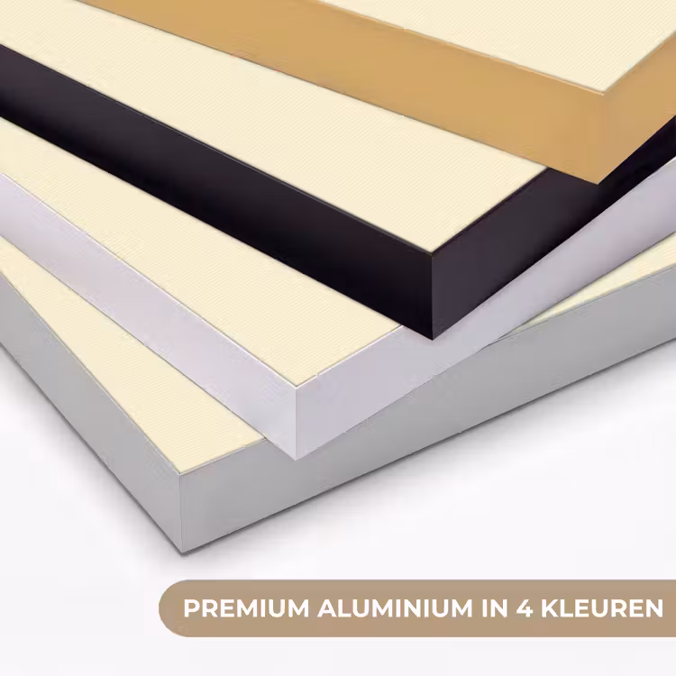 Art Frame - Illustratie - Tulp - Zwart — 2