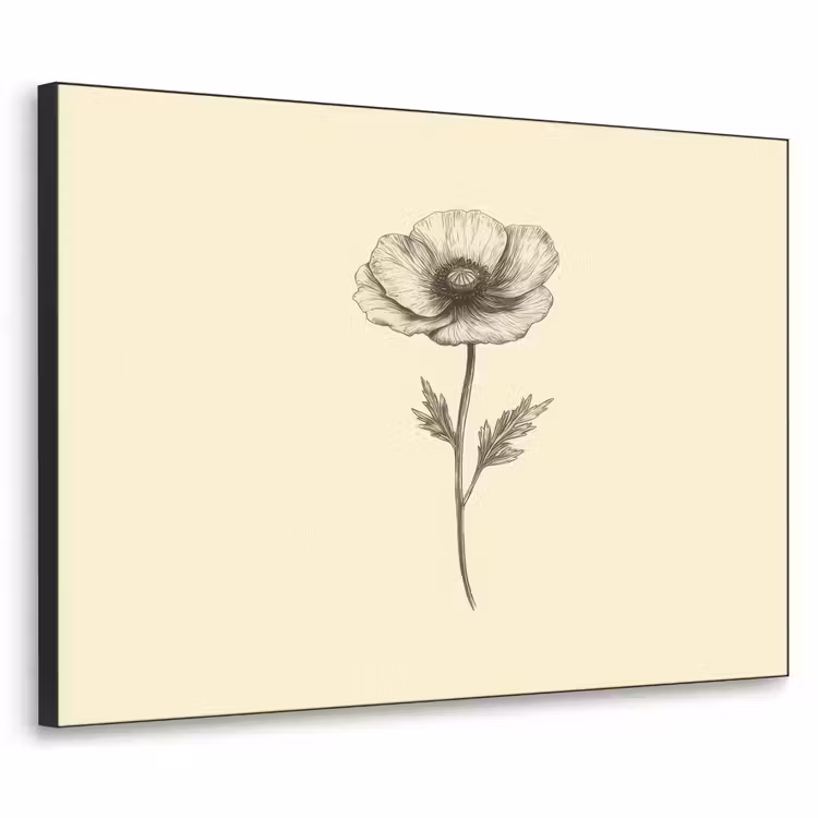 Art Frame - Klaproos - Illustratie - Zwart — 1