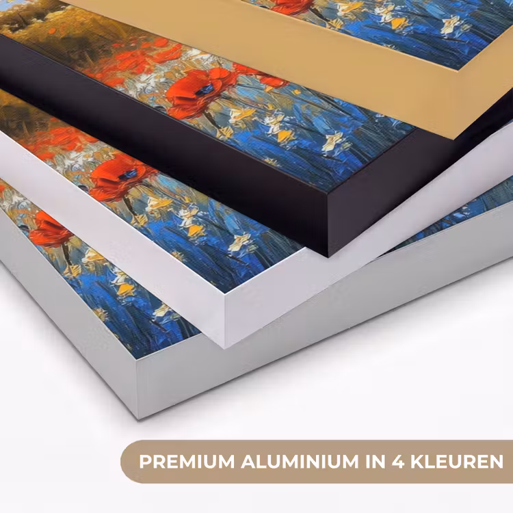 Art Frame - Klaproos - Bloemenveld - Kleurrijk — 2