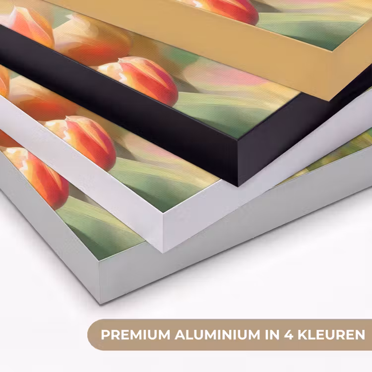Art Frame - Tulpen - Sprookjesachtig - Kleurrijk — 2