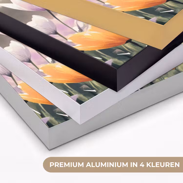 Art Frame - Viooltjes - bij - Zonlicht — 2