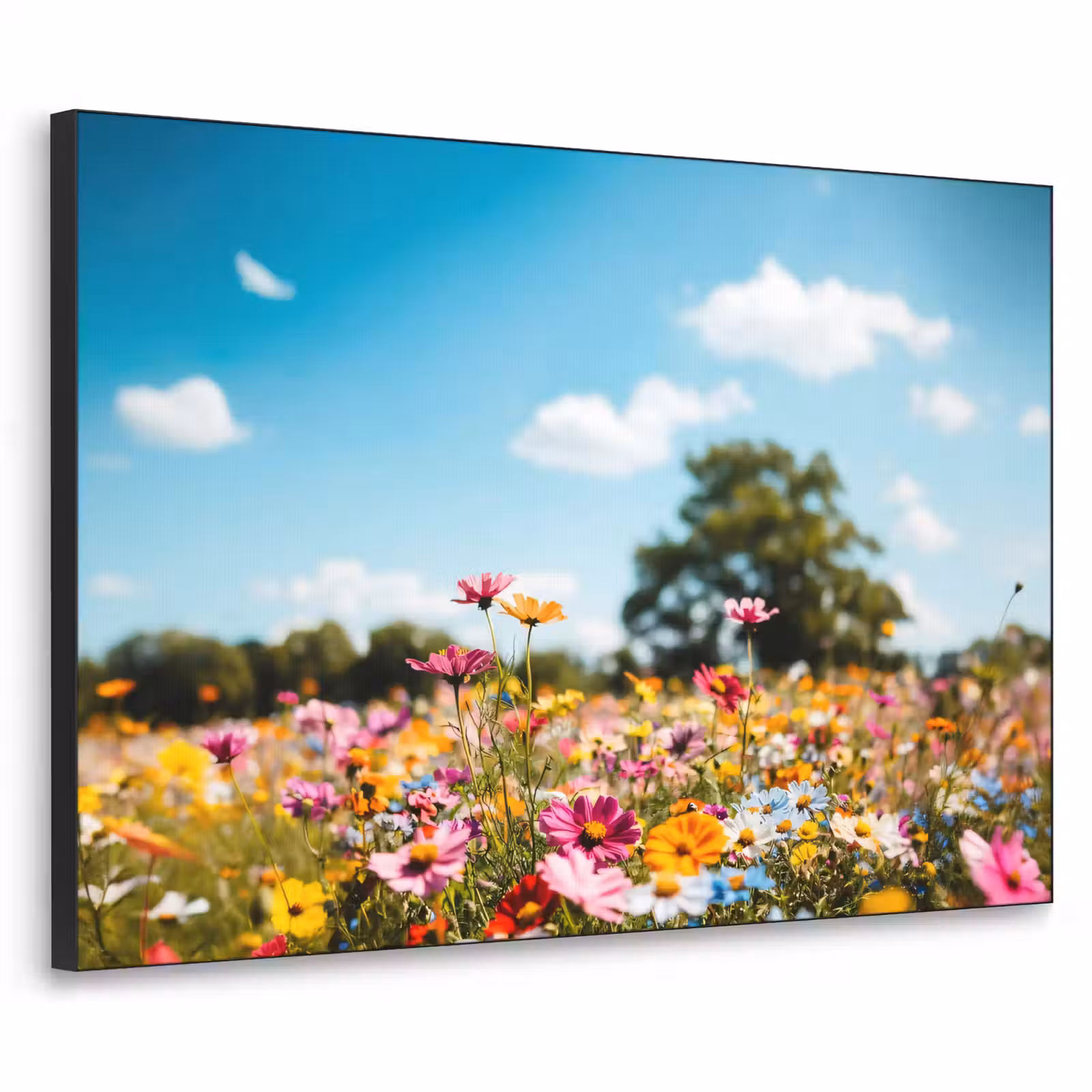 Art Frame - Bloemenweide - Blauw - Lucht - Kleuren — 1