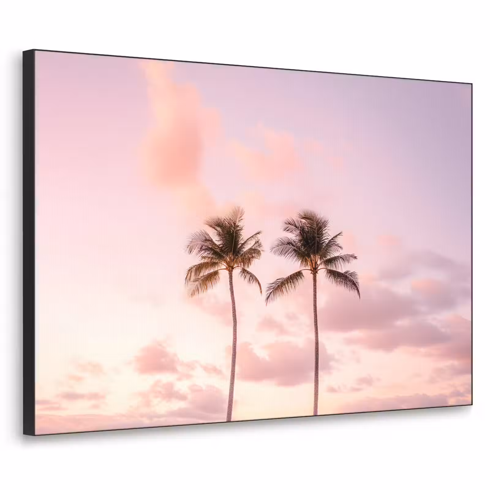 Art Frame - Palmbomen - Paars - Wolken - Lucht — 1