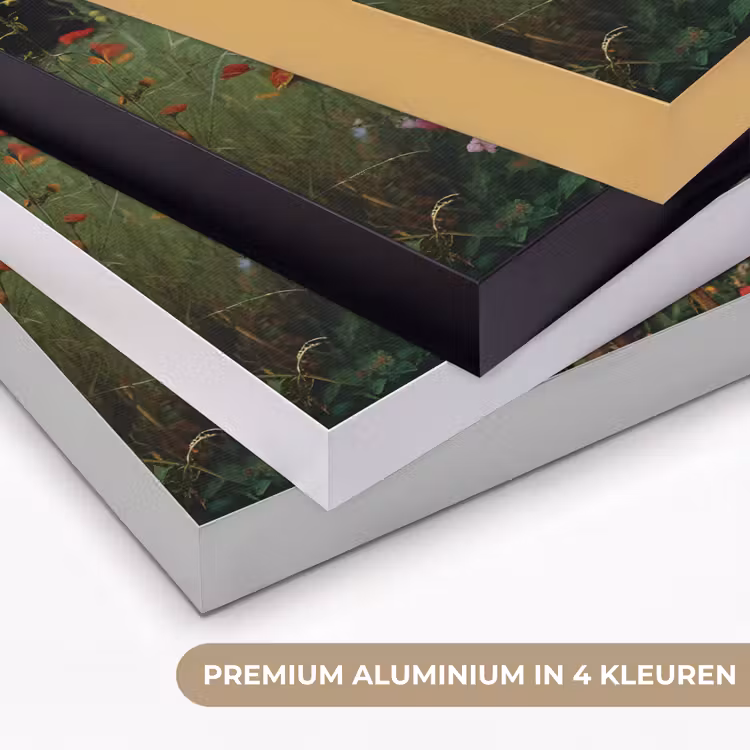 Art Frame - Bloemen - Krukje - Gieter - Veld — 2
