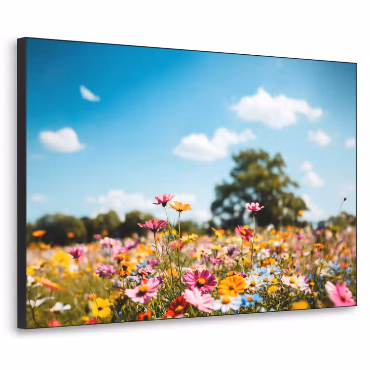 Art Frame - Bloemenweide - Blauw - Lucht - Kleuren — 1