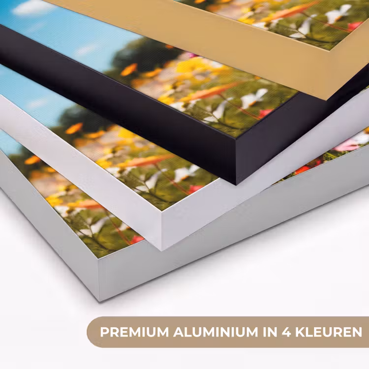 Art Frame - Bloemenweide - Blauw - Lucht - Kleuren — 2