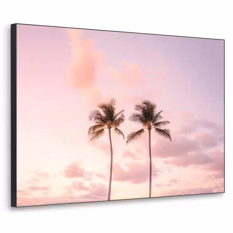 Art Frame - Palmbomen - Paars - Wolken - Lucht — 1