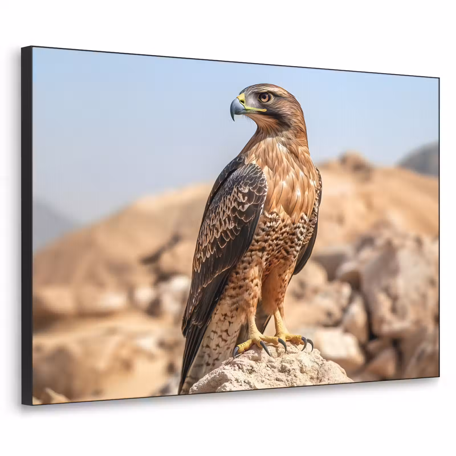 Art Frame - Valk - Vogel - Rots - Macht — 1