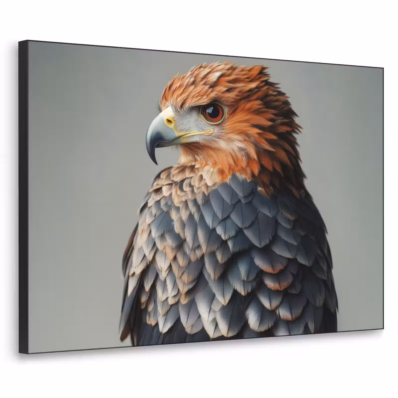 Art Frame - Vogel - Realistisch - Veren - Bruin — 1