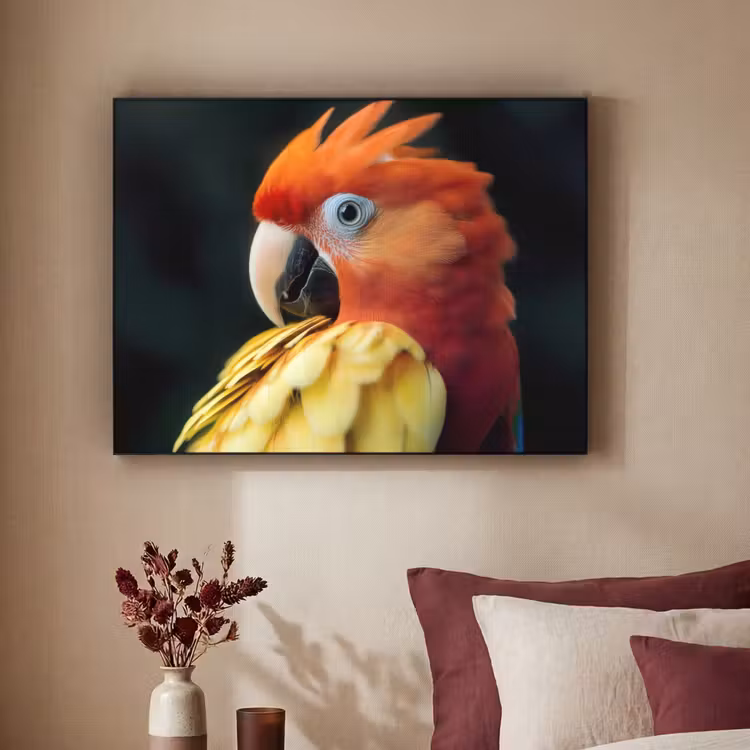Art Frame - Close-up - Papegaai - Veren - Oranje — 3