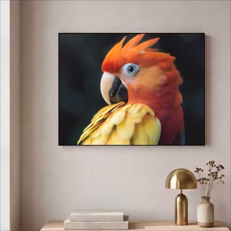 Art Frame - Close-up - Papegaai - Veren - Oranje — 5