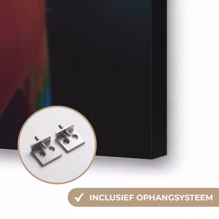 Art Frame - Close-up - Papegaai - Veren - Oranje — 6