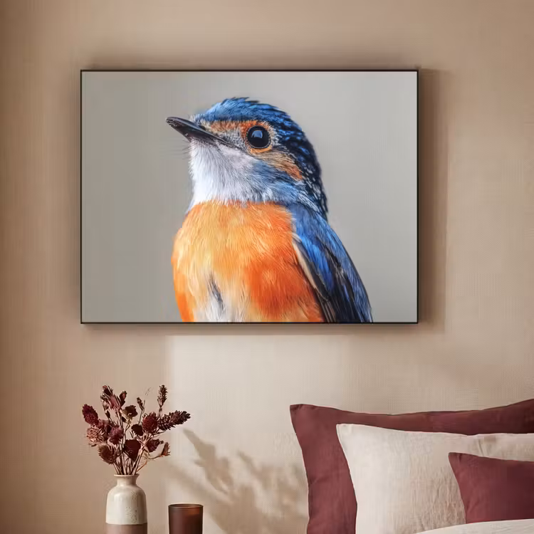 Art Frame - Kleurrijk - Vogeltje - Veren - Blauw — 3