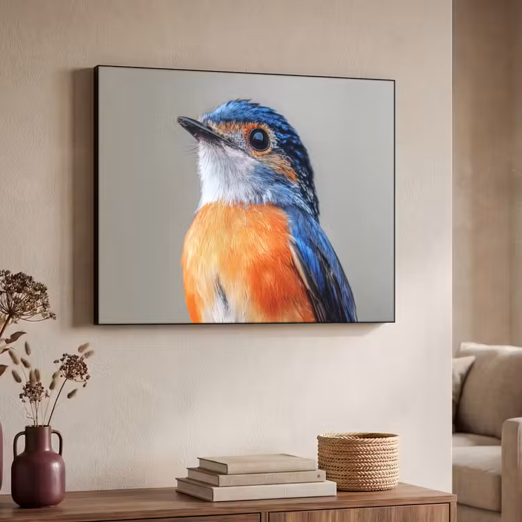 Art Frame - Kleurrijk - Vogeltje - Veren - Blauw — 7