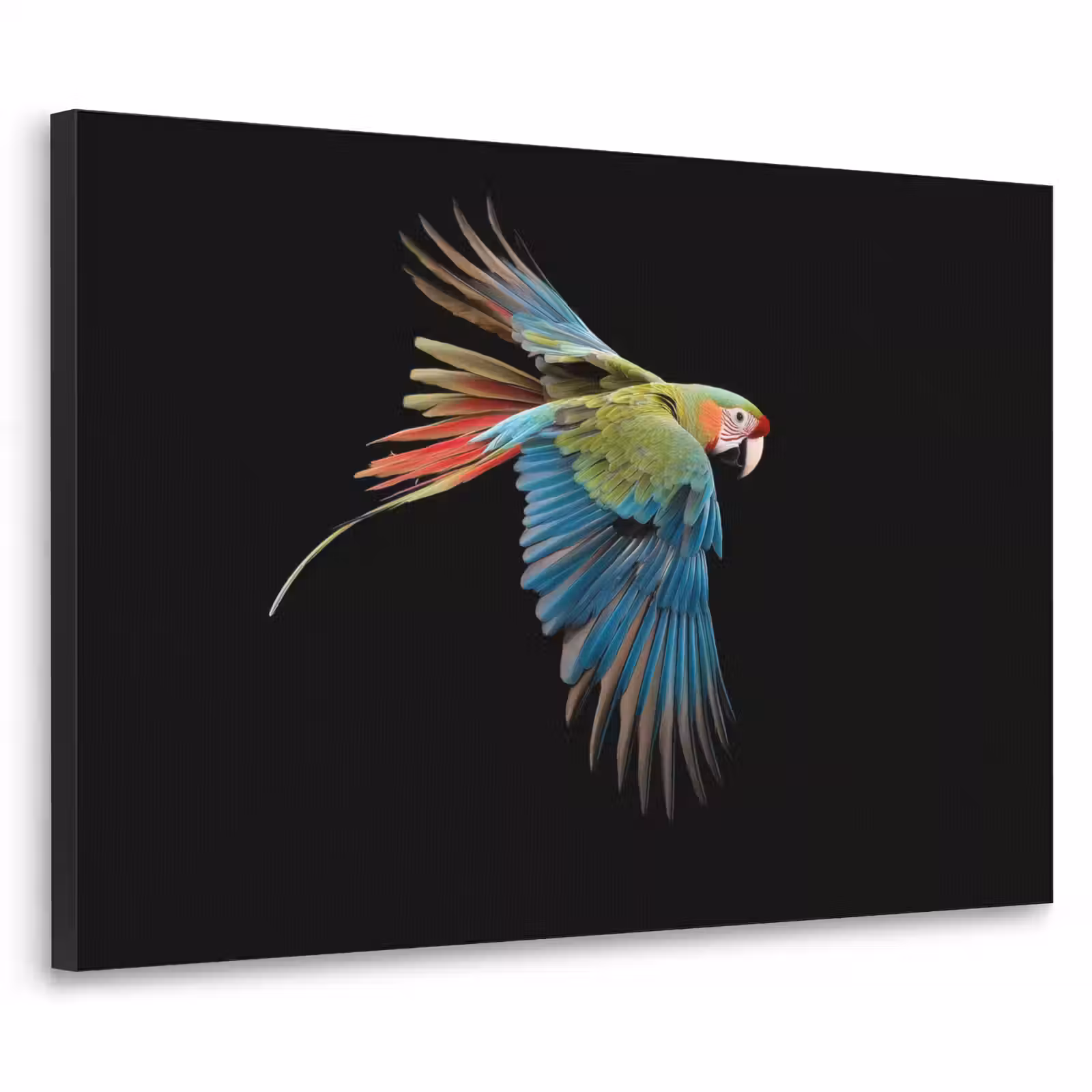 Art Frame - Papegaai - Kleurrijk - Vleugels - Sierlijk — 1