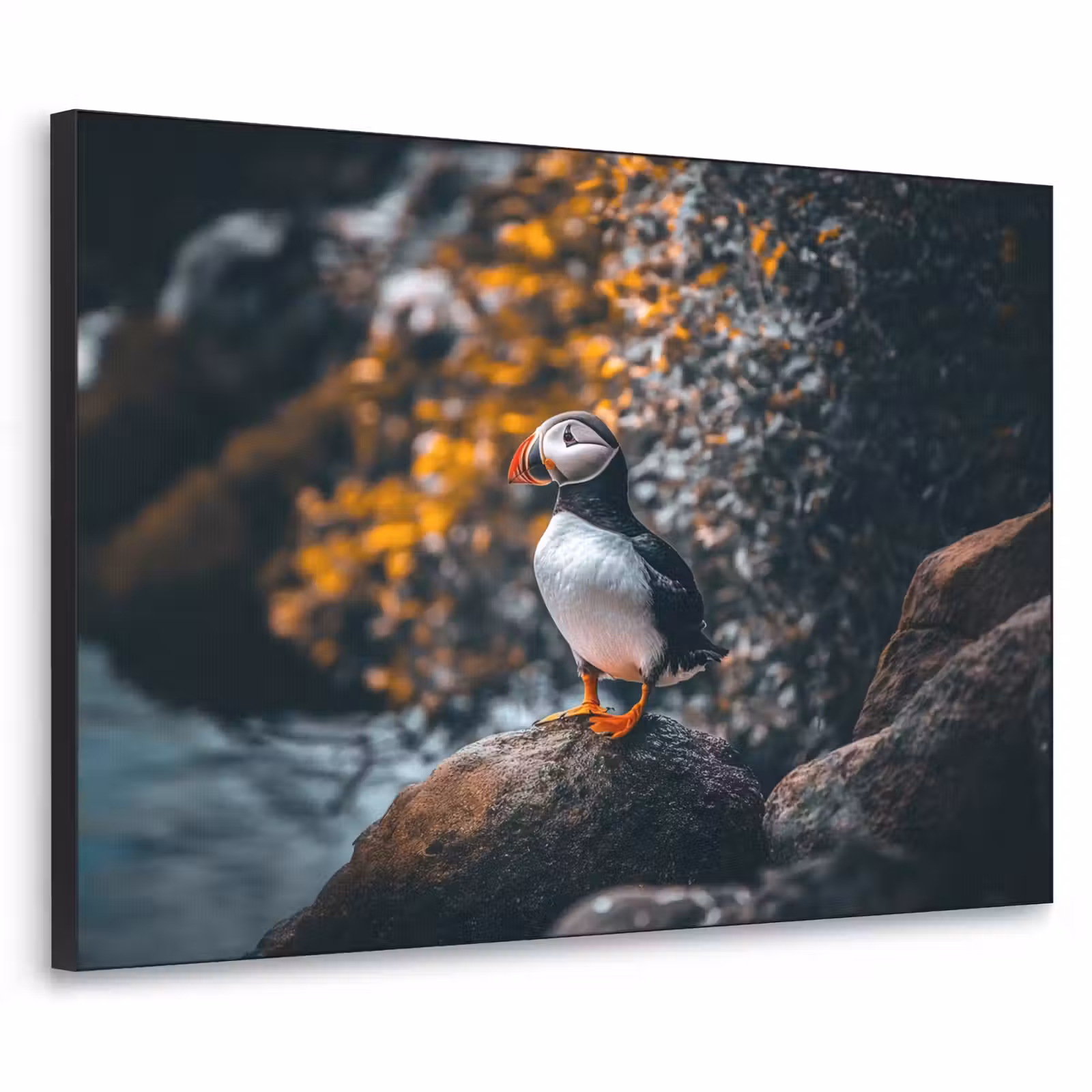 Art Frame - Papegaai - Vogel - Rots - Wit — 1
