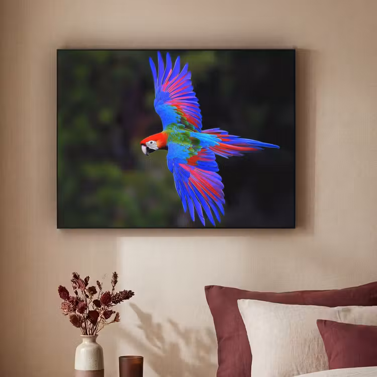 Art Frame - Felgekleurd - Papegaai - Bos - Vleugels — 3