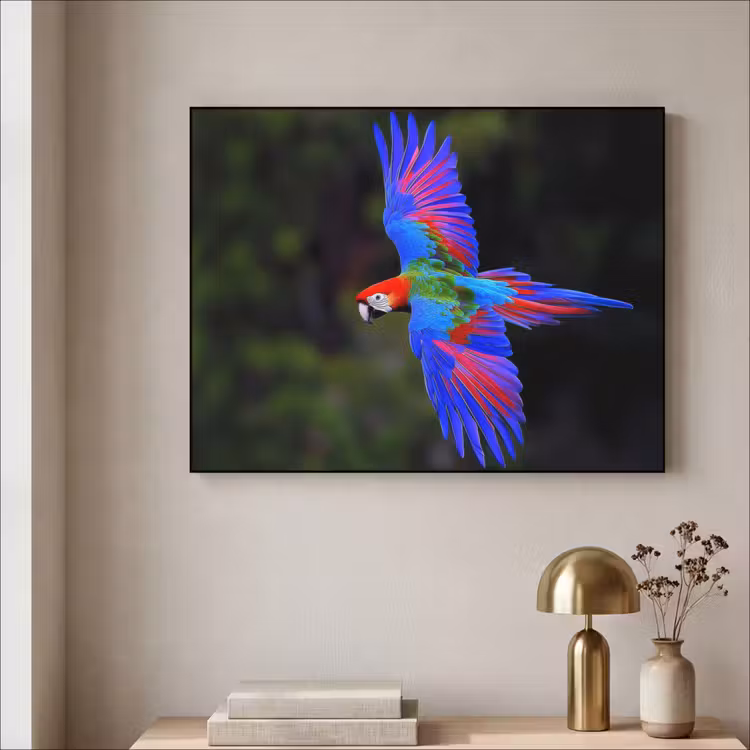 Art Frame - Felgekleurd - Papegaai - Bos - Vleugels — 5