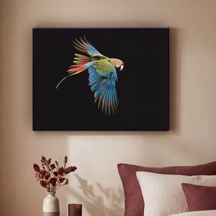 Art Frame - Papegaai - Kleurrijk - Vleugels - Sierlijk — 3