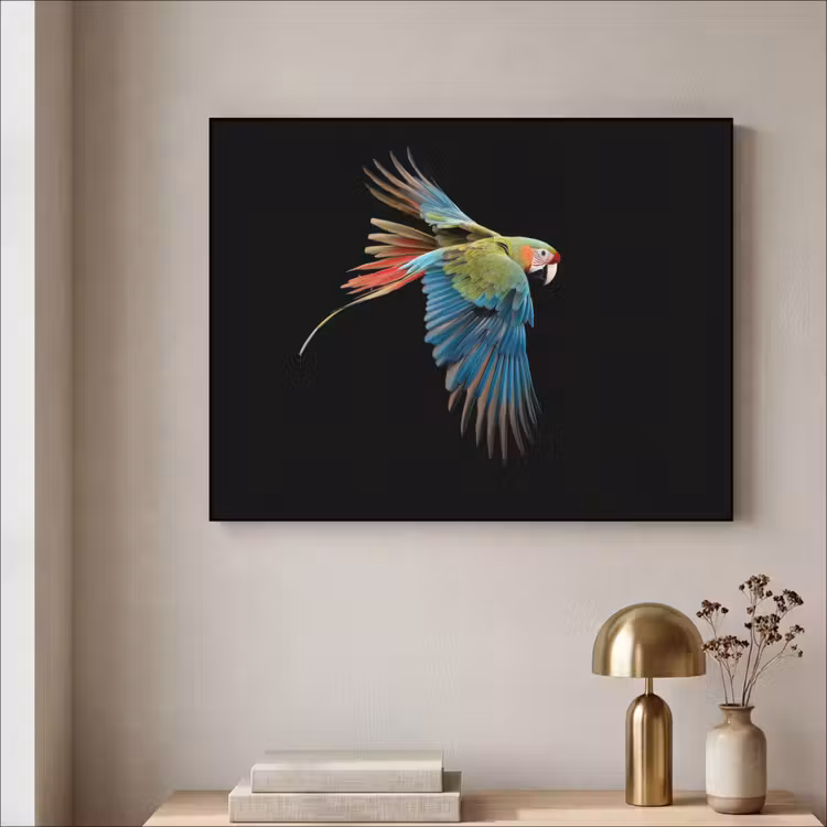 Art Frame - Papegaai - Kleurrijk - Vleugels - Sierlijk — 5