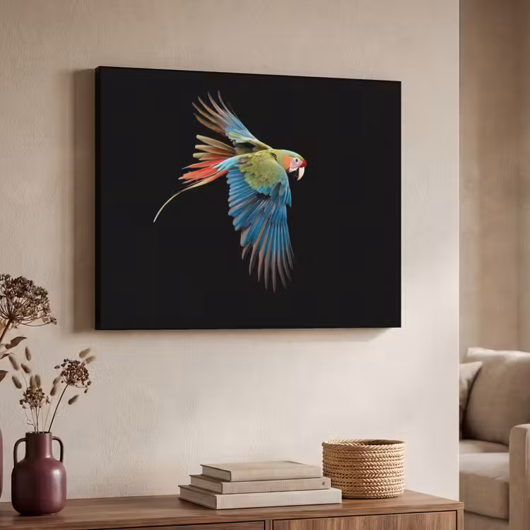 Art Frame - Papegaai - Kleurrijk - Vleugels - Sierlijk — 7