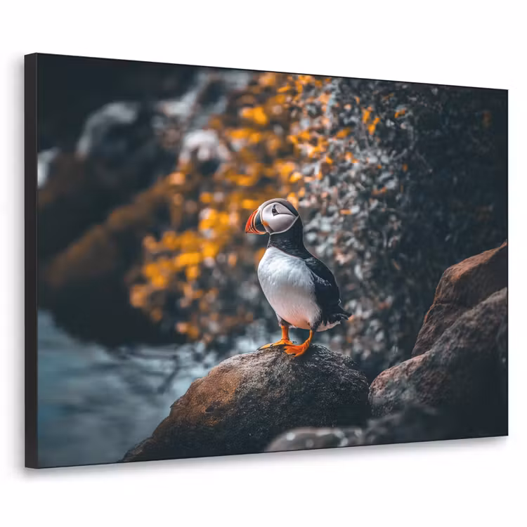 Art Frame - Papegaai - Vogel - Rots - Wit — 1
