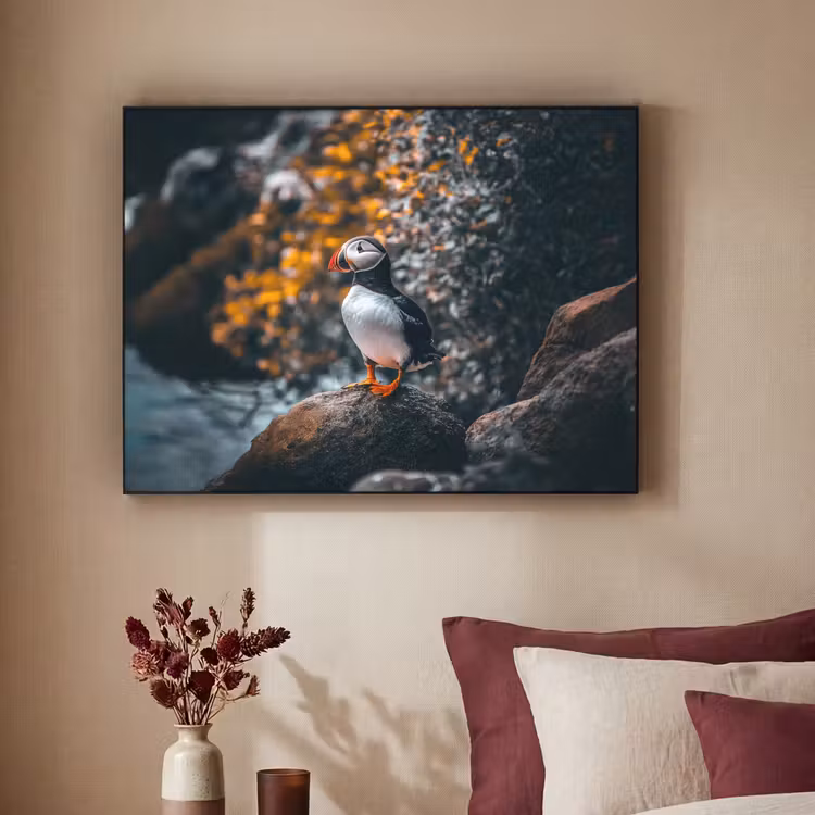 Art Frame - Papegaai - Vogel - Rots - Wit — 3