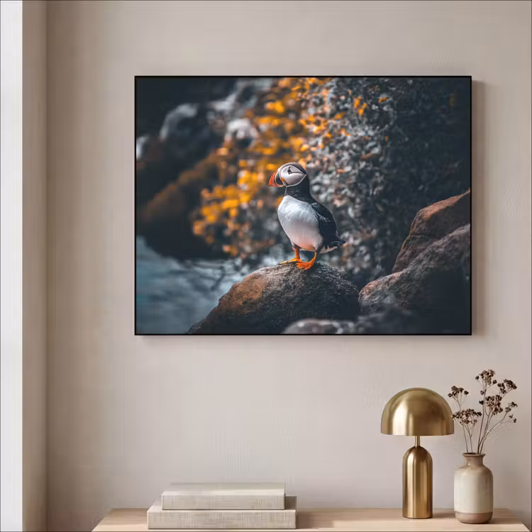 Art Frame - Papegaai - Vogel - Rots - Wit — 5