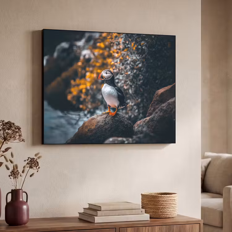 Art Frame - Papegaai - Vogel - Rots - Wit — 7