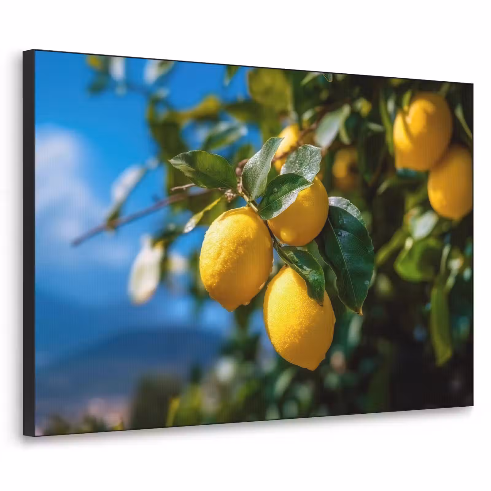 Art Frame - Citroenen - Bladeren - Blauwe lucht — 1