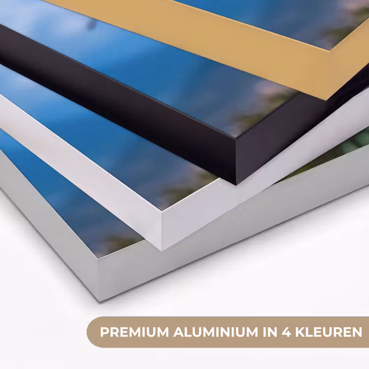 Art Frame - Citroenen - Bladeren - Blauwe lucht — 2