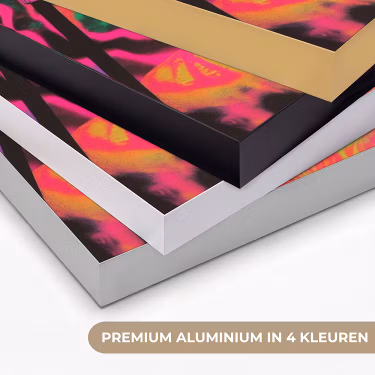 Art Frame - Neon - Vrouw - Microfoon — 2