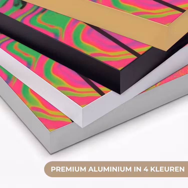 Art Frame - Vrouw - Microfoon - Neon — 2