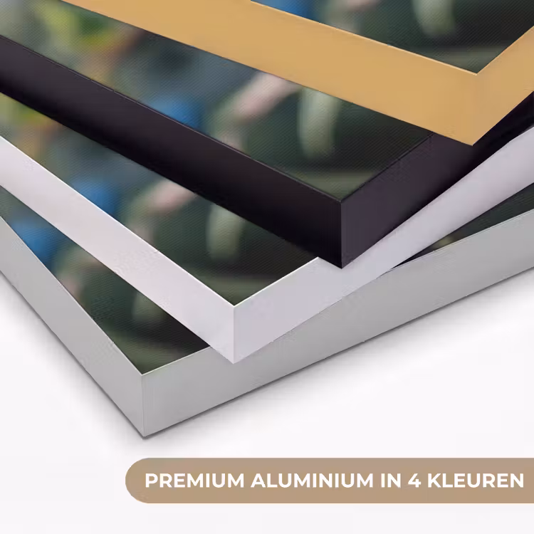 Art Frame - Blauwe bessen - Dauwdruppels - Natuurlijk licht — 2