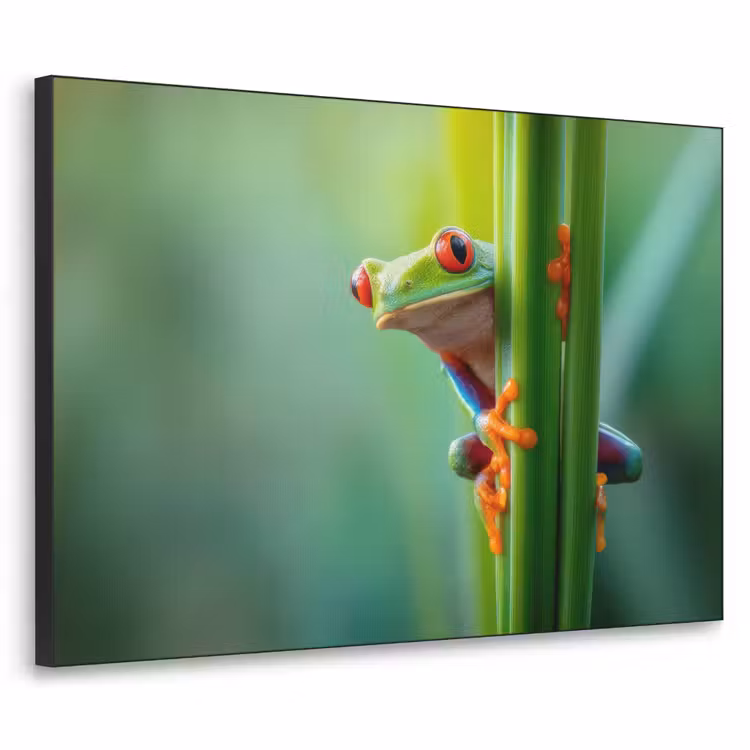 Art Frame - Groene kikker - Nieuwsgierig - Gras — 1