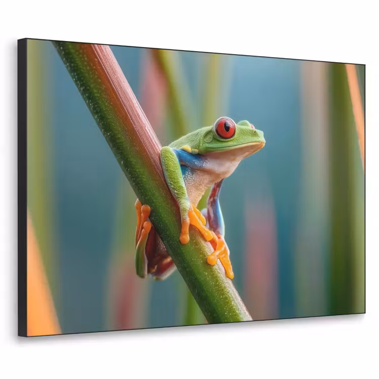 Art Frame - Kleurrijke kikker - Groene stengel - Alert — 1