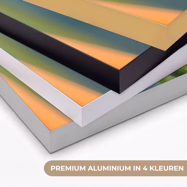 Art Frame - Kleurrijke kikker - Groene stengel - Alert — 2
