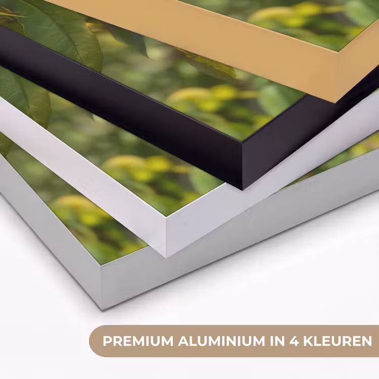 Art Frame - Perzik - Bladeren - Zonlicht — 2