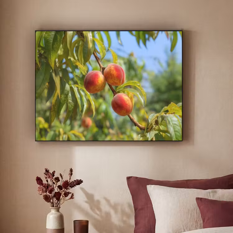 Art Frame - Perzik - Bladeren - Zonlicht — 3