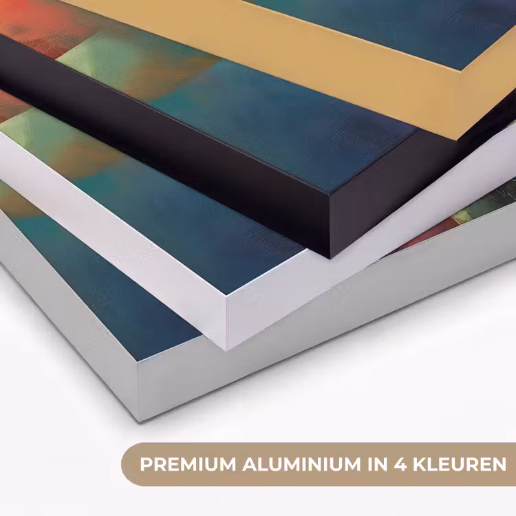 Art Frame - Geometrische kleurvlaken - Modern - Fantasiebloemen — 2