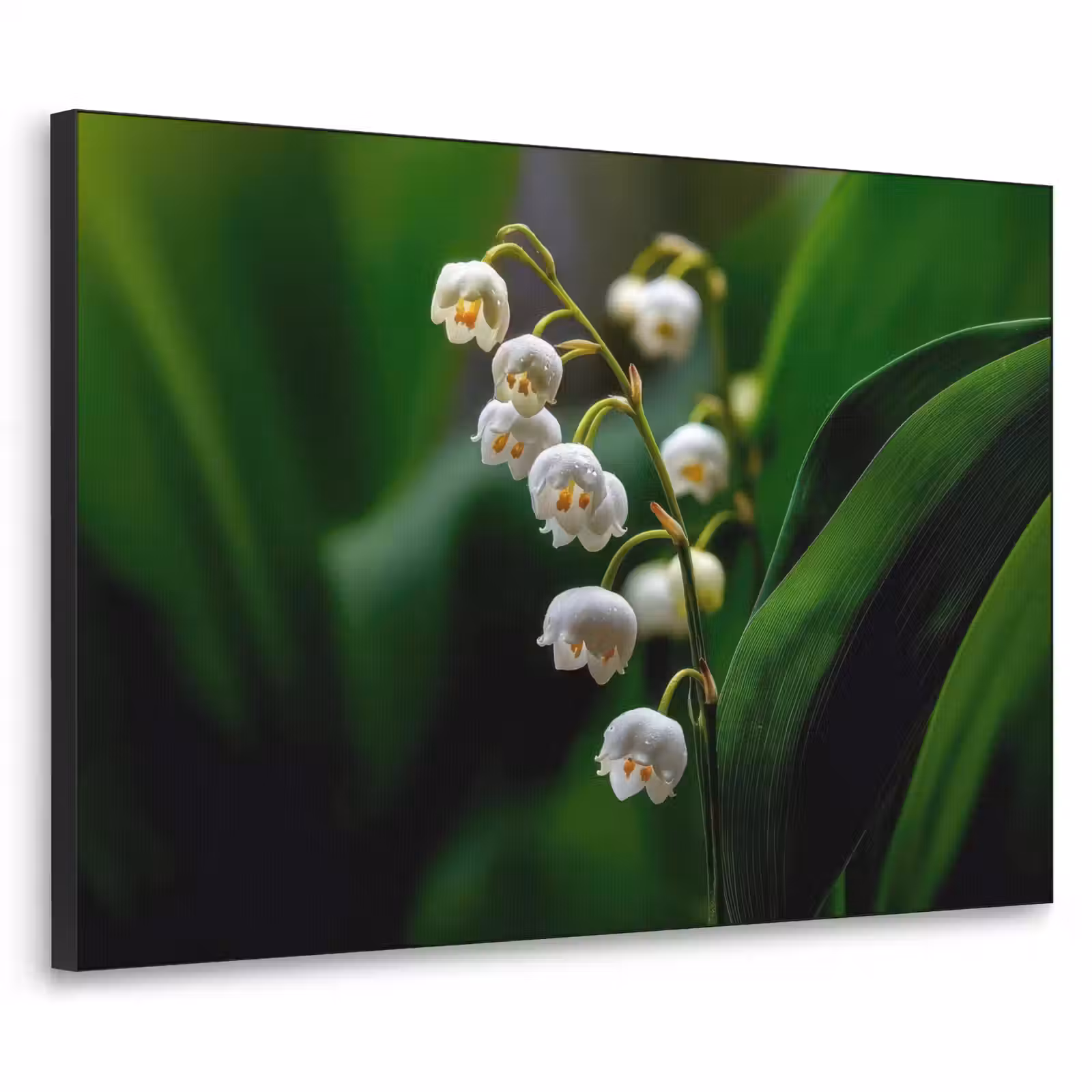 Art Frame - Bloemen - Wit - Bladeren - Lelietjes — 1