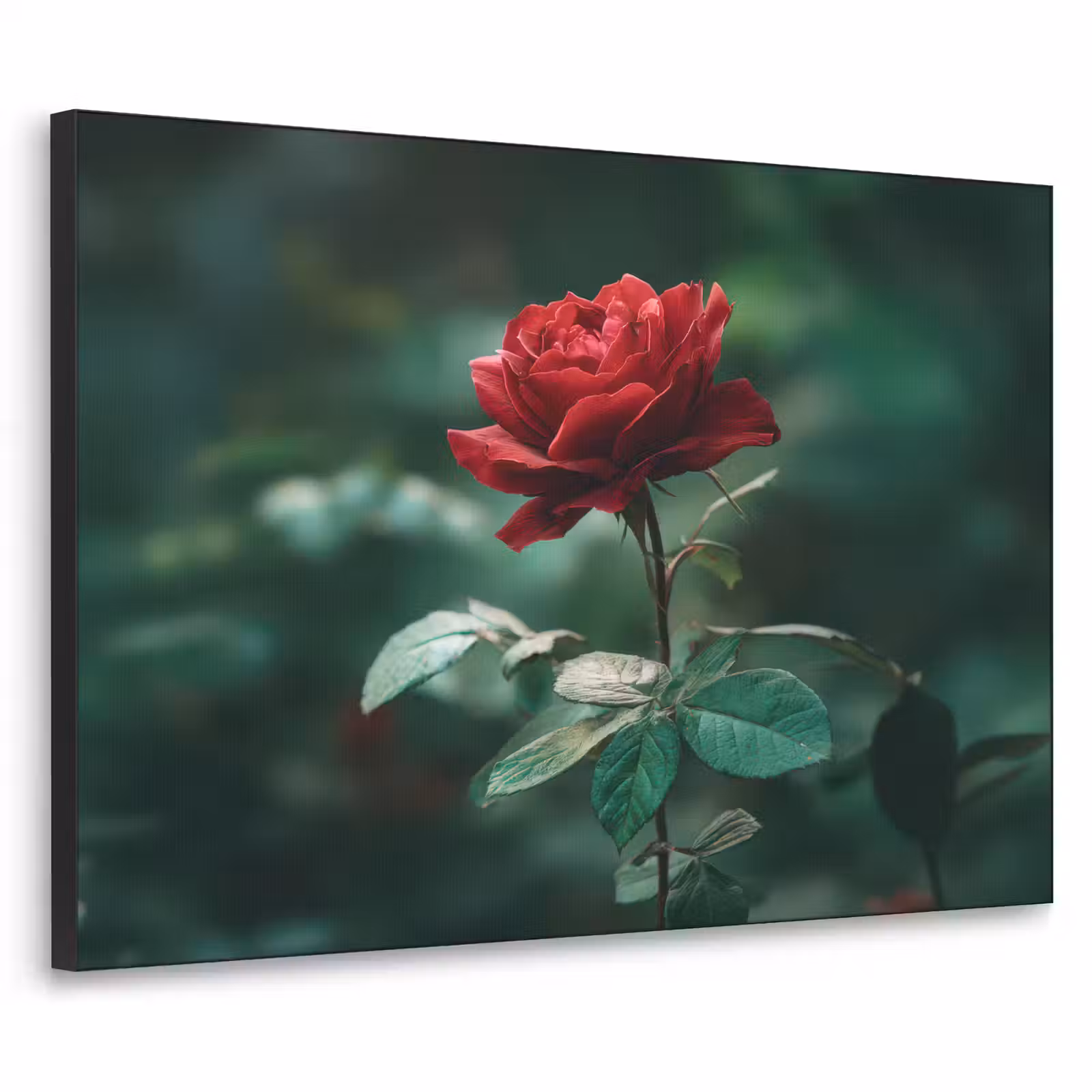 Art Frame - Roos - Bladeren - Dieprood — 1