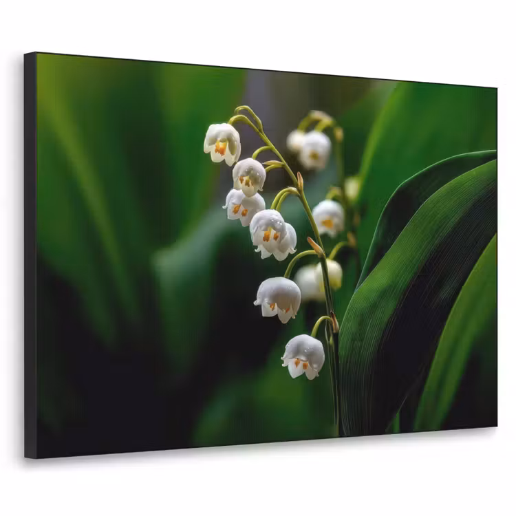 Art Frame - Bloemen - Wit - Bladeren - Lelietjes — 1