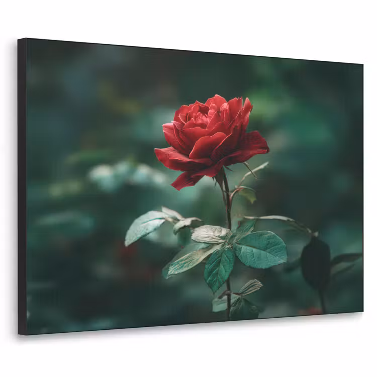 Art Frame - Roos - Bladeren - Dieprood — 1