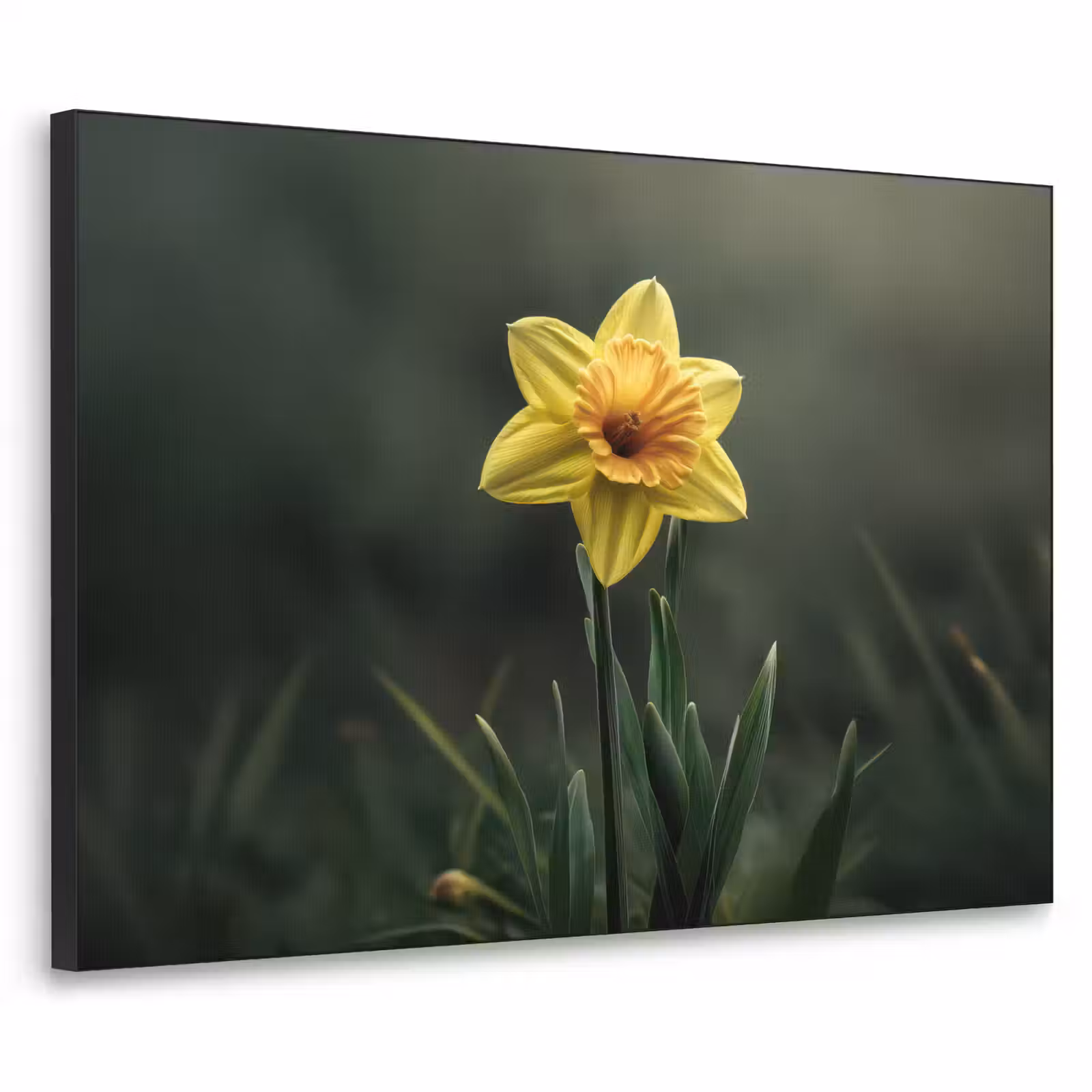 Art Frame - Bloem - Narcis - Gras - Geel — 1