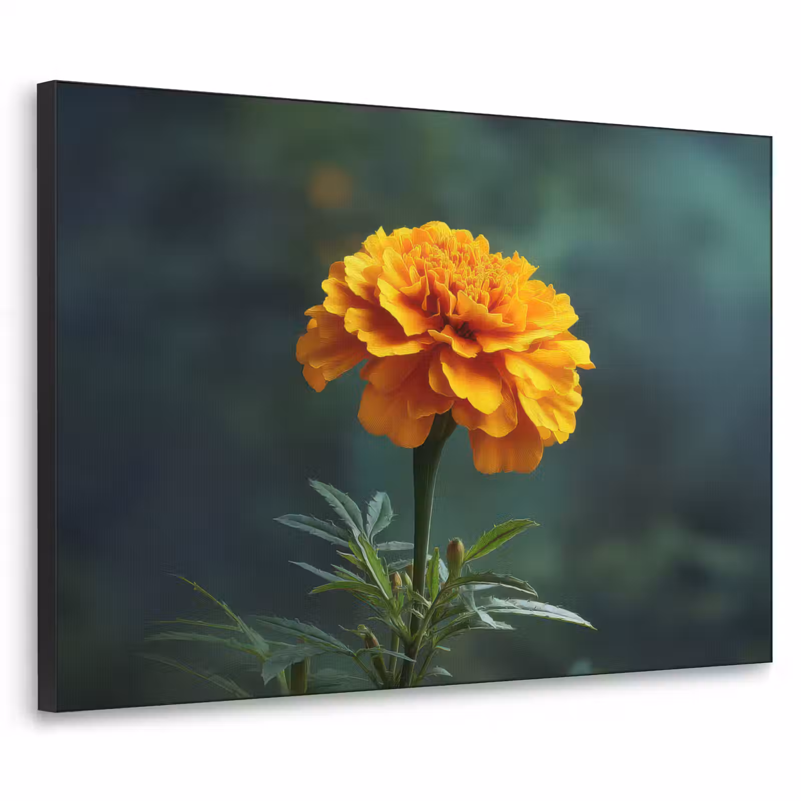 Art Frame - Bloemblaadjes - Afrikaan - Oranje - Wazig — 1
