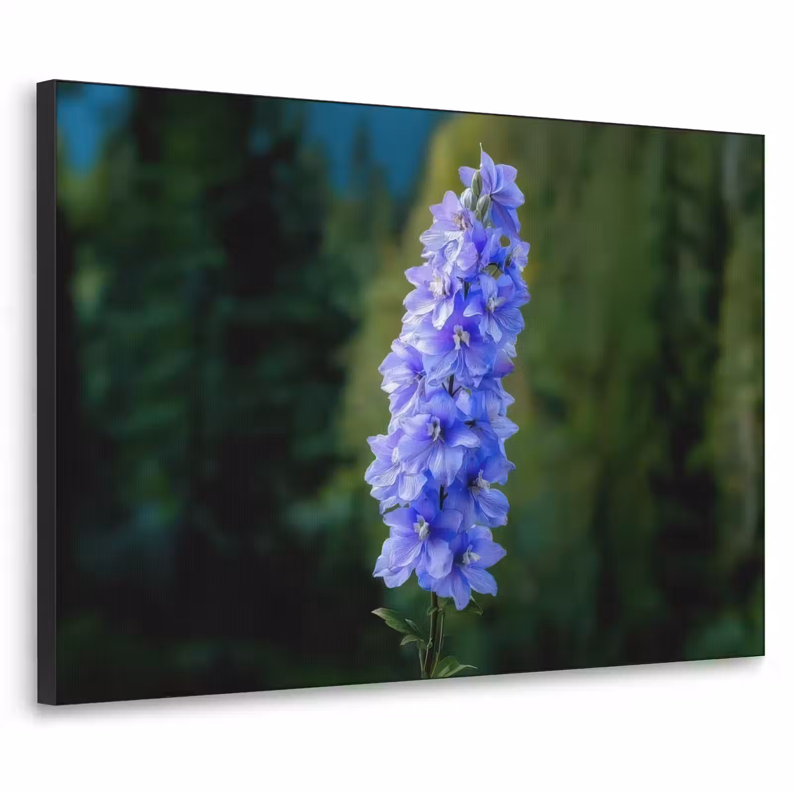 Art Frame - Bloemen - Blauw - Dennenboom — 1
